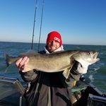 Steve Helmuth - @stvhelmuth - Instagram