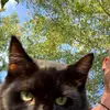 Steven Hembree - @stevenhembree1101 - TikTok