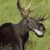 stevenhembree538 - @stevenhembree538 - TikTok