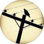 Steven Paul Hendren - @stevenpaulhendren - Instagram