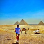 Steve Herring - @herringsteve - Instagram