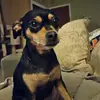 Steve Herring - @steve.herring4 - TikTok