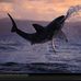 Steve Herring - Facebook