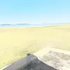 Steve Herring - @steve.herring1 - TikTok