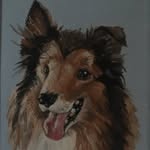 Steve Hibbert - @steve.hibbert55 - Instagram