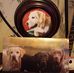 Steve Himes - Facebook