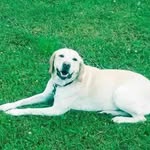 Steve Himes - @stevehimes1966 - Instagram