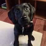 steve hitz - @steve.hitz - Instagram