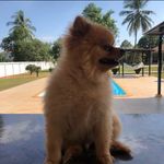Steve Hodson - @stevehodson10 - Instagram