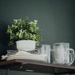 Steve Hodson - @hodson518 - Instagram
