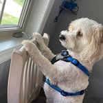 Steve Hoekstra - @redzone50 - Instagram
