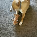 Steve Hofer - @shvegas - Instagram