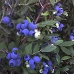 Steve Hofer - @hofersteve - Instagram