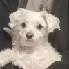Steve O Hofer - @steve.o.hofer - TikTok