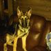 Steve Hogsett - Facebook