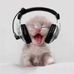 Steve Hokanson - Facebook