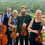 Steve Allen Holman - @summitstringsquartet - Instagram