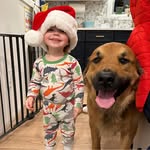 Steve Holtz - @holtzsteve - Instagram