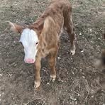 Steve Horn - Facebook