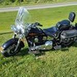 Steven Horsch - @stevenhorsch - Instagram