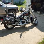 Steven Horsch - @steven.horsch.9 - Instagram