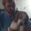 Steve ter Horst - @steveterhorst - TikTok