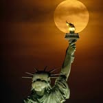 Steven Horwitz - @doctographernyc - Instagram
