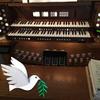 stevehostetler580 - @stevehostetler580 - TikTok