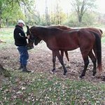 Steven Hostetler - @hostetlersteven - Instagram