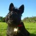 Stephen Hulse - Facebook