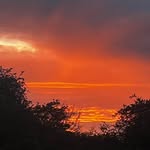 Steve Hulse - @steveghulse - Instagram