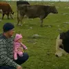 Steve Humphries - @steve.humphries7 - TikTok