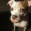 Steve Hunley - @steve.hunley - TikTok