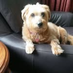 Steve Hurt - @steve.hurt.967 - Instagram