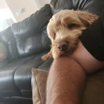 Steve Hussey - @hussey66 - Instagram
