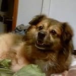 Steve Hutchens - @sjhutchens65 - Instagram