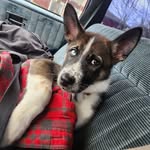 Steve Hutchens - @hutchens4460 - Instagram