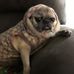 Steve Huth - Facebook