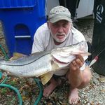 Steve Ingalls - @steve.ingalls.1 - Instagram