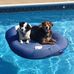 Steve Ingles - Facebook