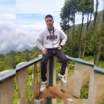 Steve Ventura - @steve_ingles - Instagram
