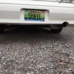 Irish Steve - @irish_steve_ - Instagram