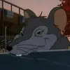 Steve Irish - @steve.irish4 - TikTok