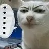 SteveIsKing123 - @steveisking123 - TikTok