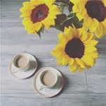 Dr. Stevie Jakubowski I - @dr.steviejakubowski - Instagram