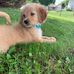 Steven Jakubowski - Facebook