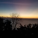 Steve Janiszewski - @steve_janiszewski - Instagram