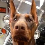 Steve Jasper - @sjasper66 - Instagram
