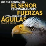 Steve Javier - @stevejavierr - Instagram