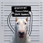 Steve Johnstone - @steve.johnstone.758 - Instagram